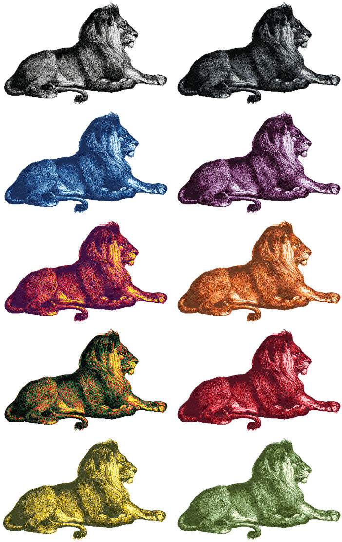 Lion in 10 Color Ways Counted Crossstitch Pattern